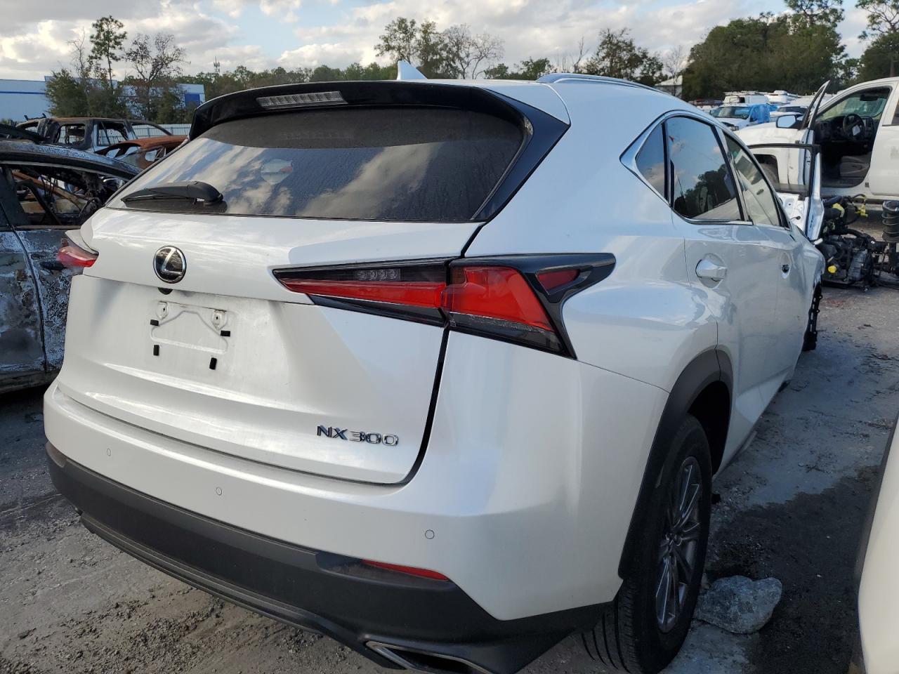2019 LEXUS NX 300 BAS - JTJBARBZ1K2216904