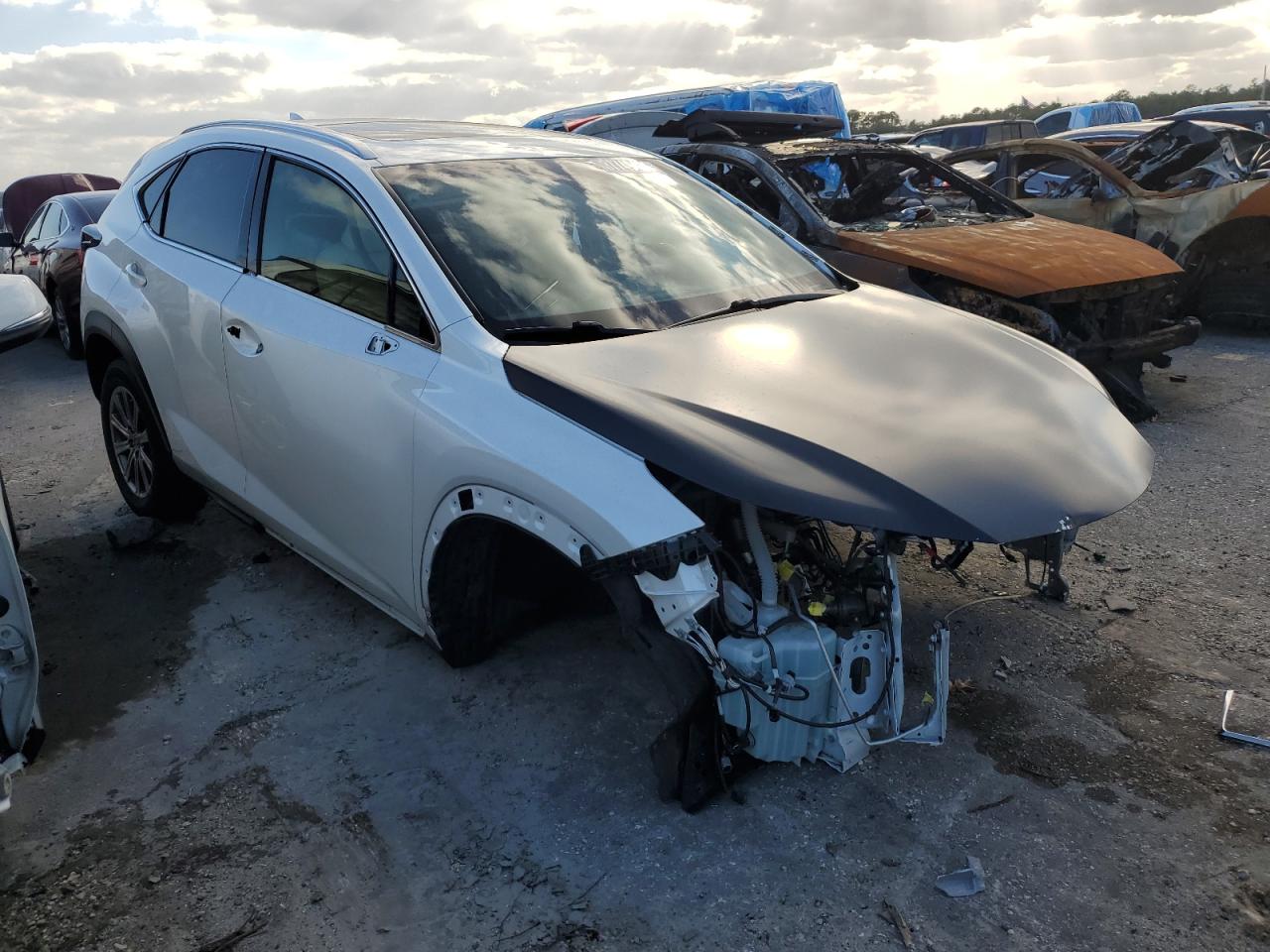 2019 LEXUS NX 300 BAS - JTJBARBZ1K2216904
