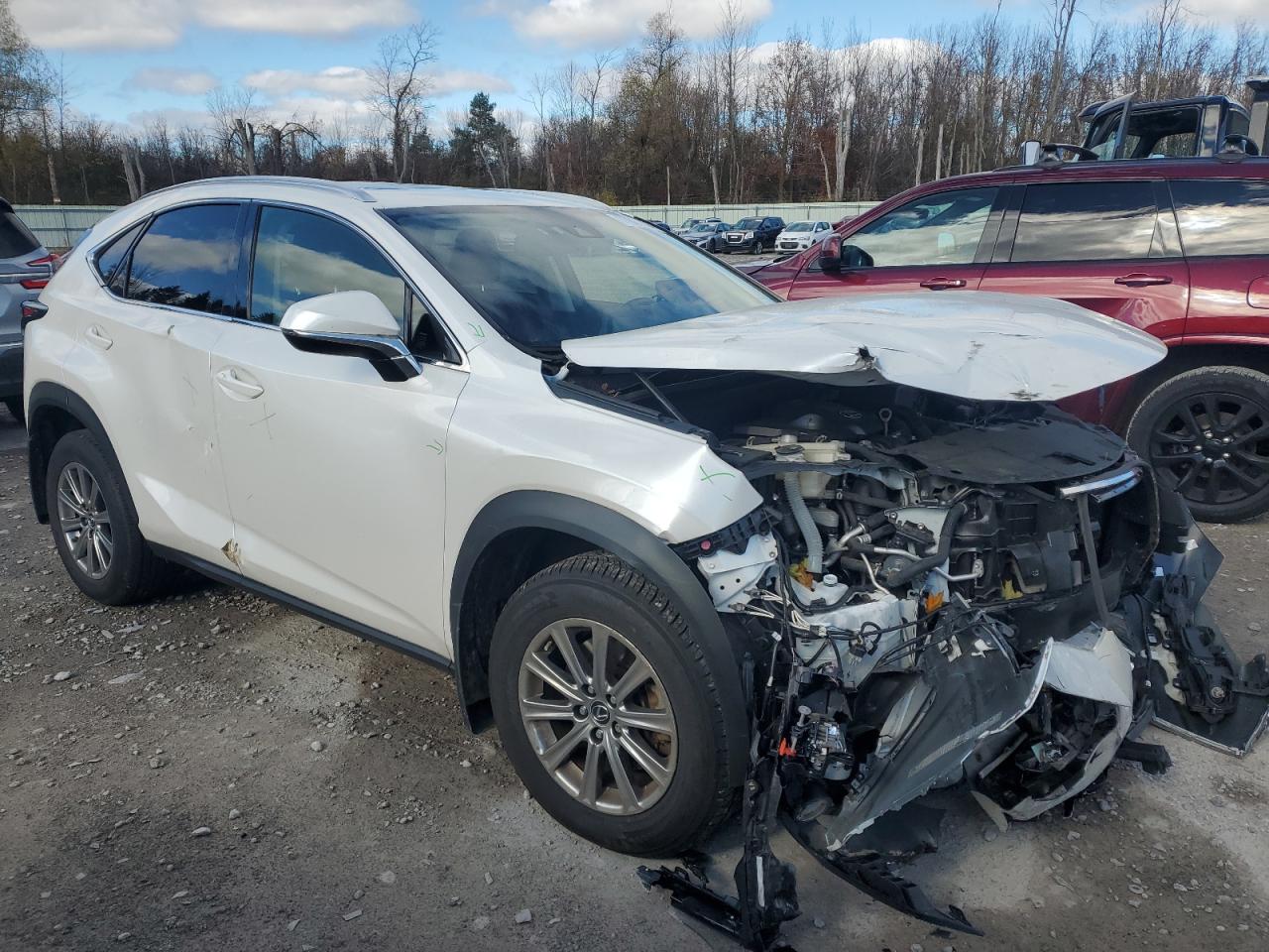 2021 LEXUS NX 300 BAS - JTJDARDZ6M5024482