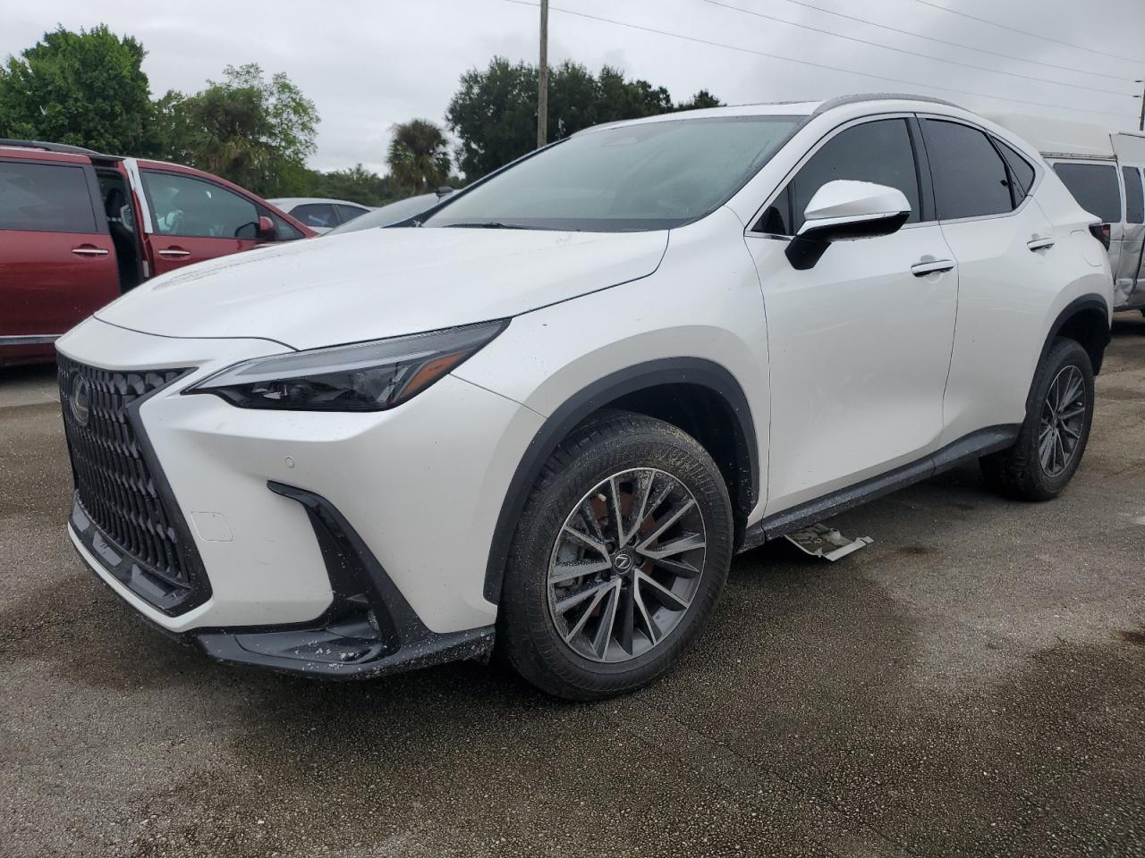 2025 LEXUS NX 250 PRE - JTJGDCAZ1S5023856