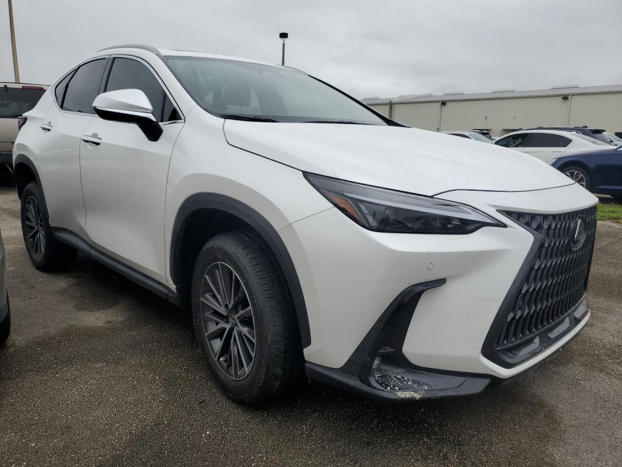 2025 LEXUS NX 250 PRE - JTJGDCAZ1S5023856