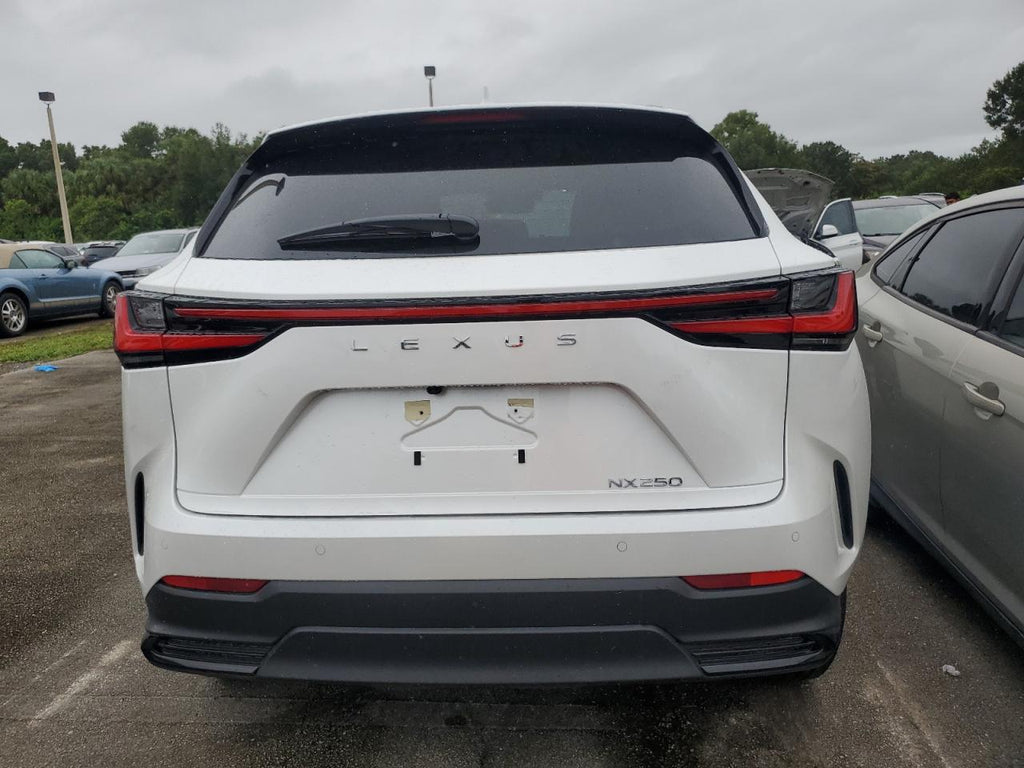 2025 LEXUS NX 250 PRE - JTJGDCAZ1S5023856