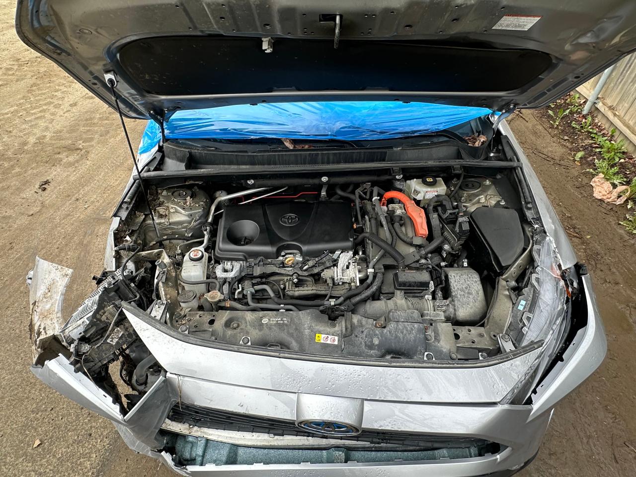 2021 TOYOTA RAV4 LE - 4T3LWRFV7MU029631