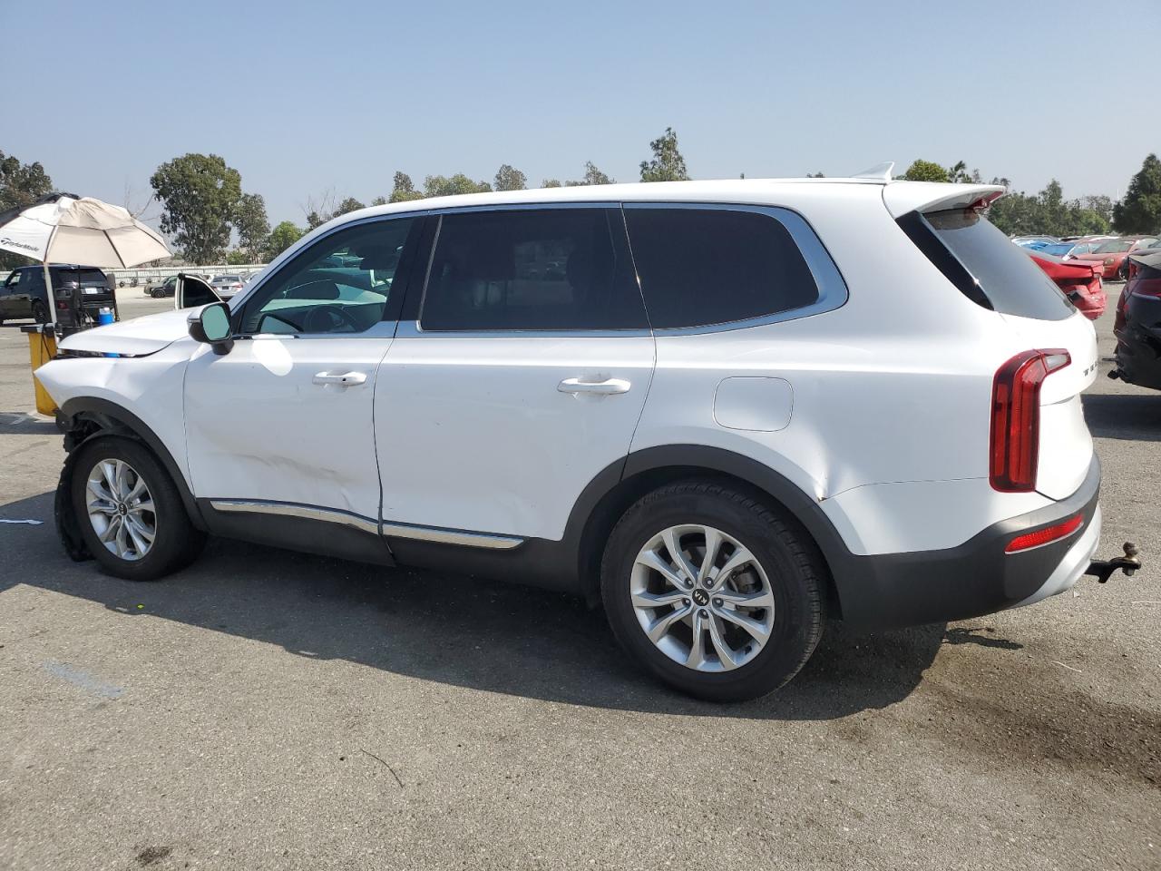 2021 KIA TELLURIDE - 5XYP24HC7MG135135