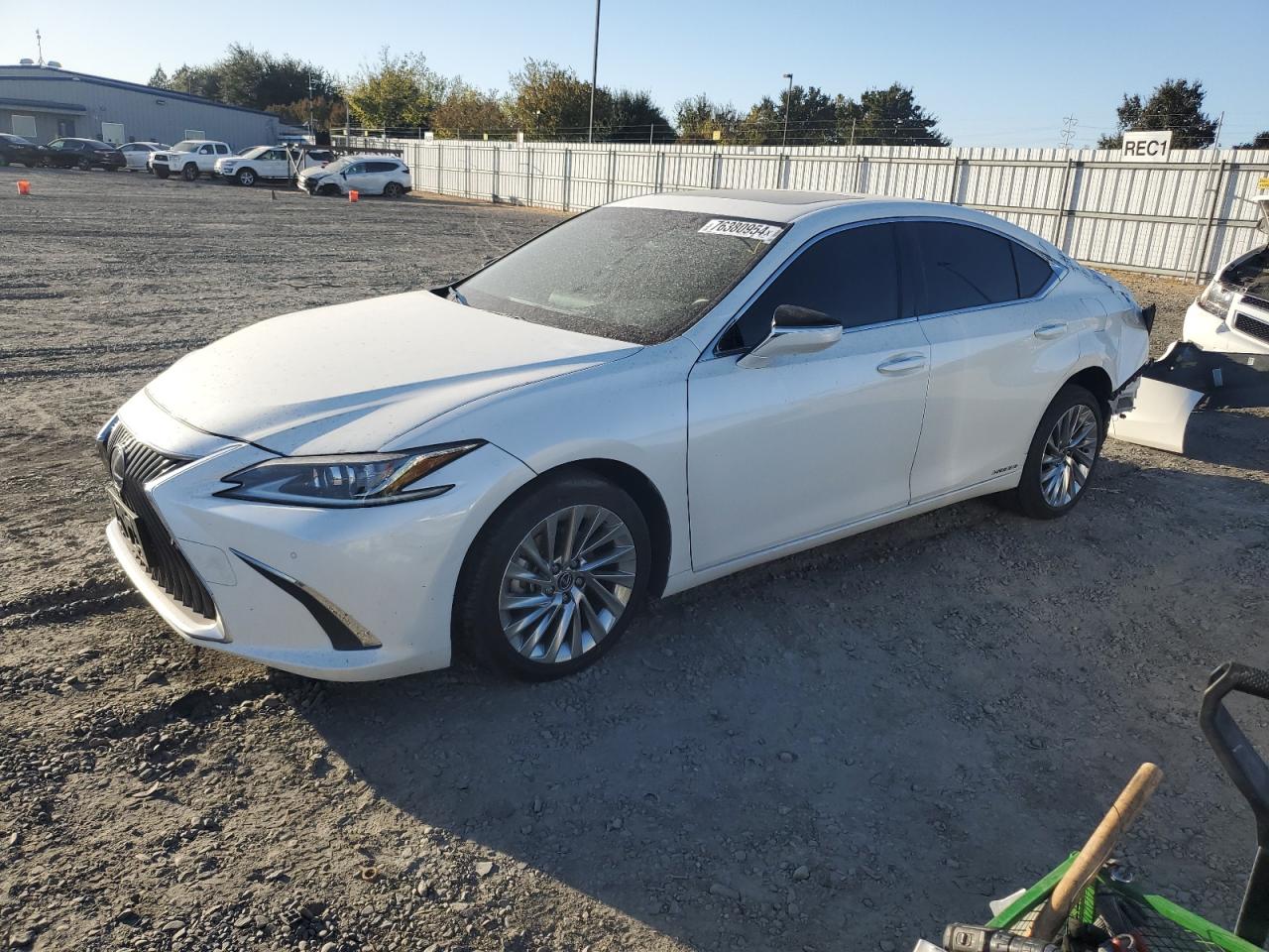 2019 LEXUS ES 300H - JTHB21B13K2024216