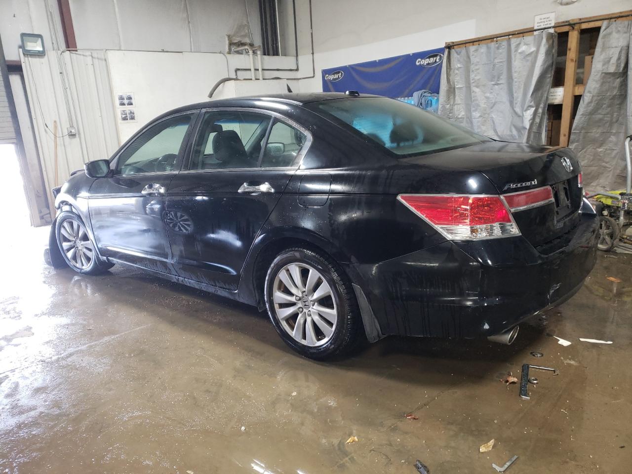 2011 HONDA ACCORD EXL - 1HGCP3F89BA011195