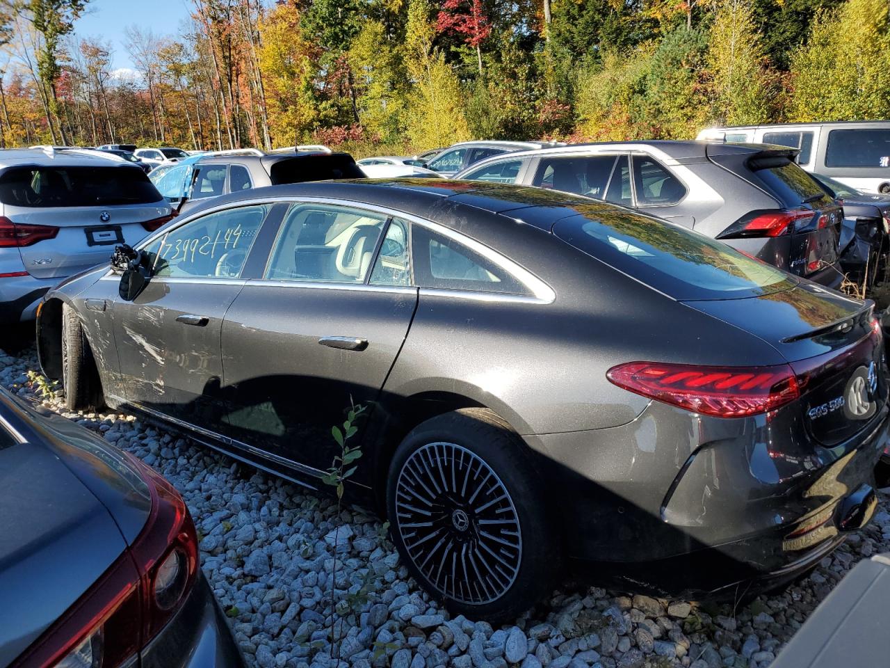 2022 MERCEDES-BENZ EQS SEDAN - W1KCG4EB8NA017680