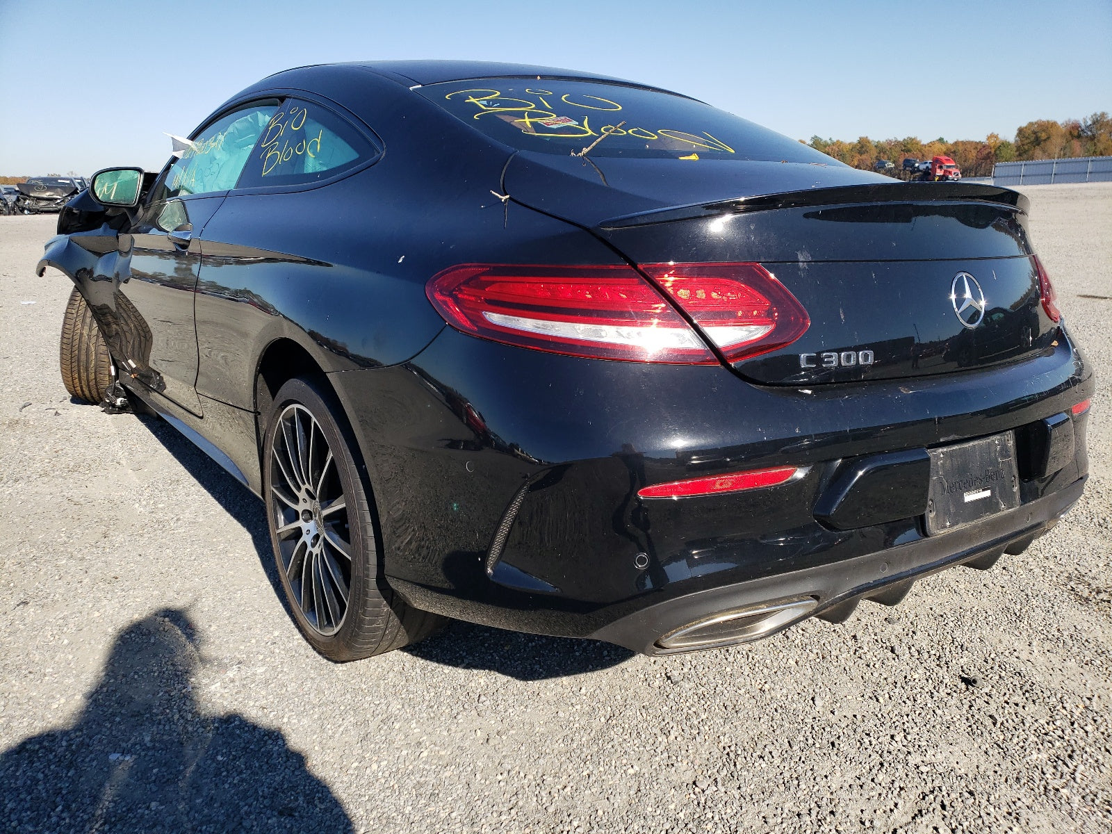 2019 MERCEDES-BENZ C 300 - WDDWJ8DB9KF781740