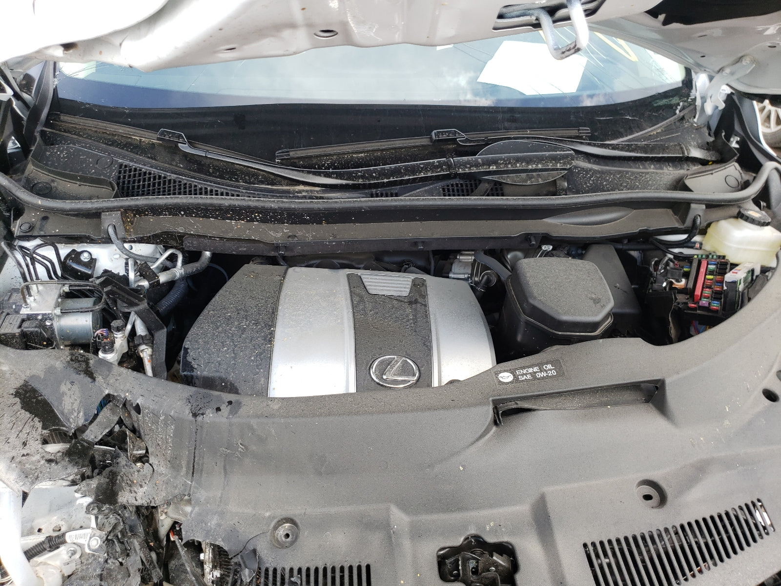 2021 LEXUS RX 350 - 2T2HZMDA2MC262323