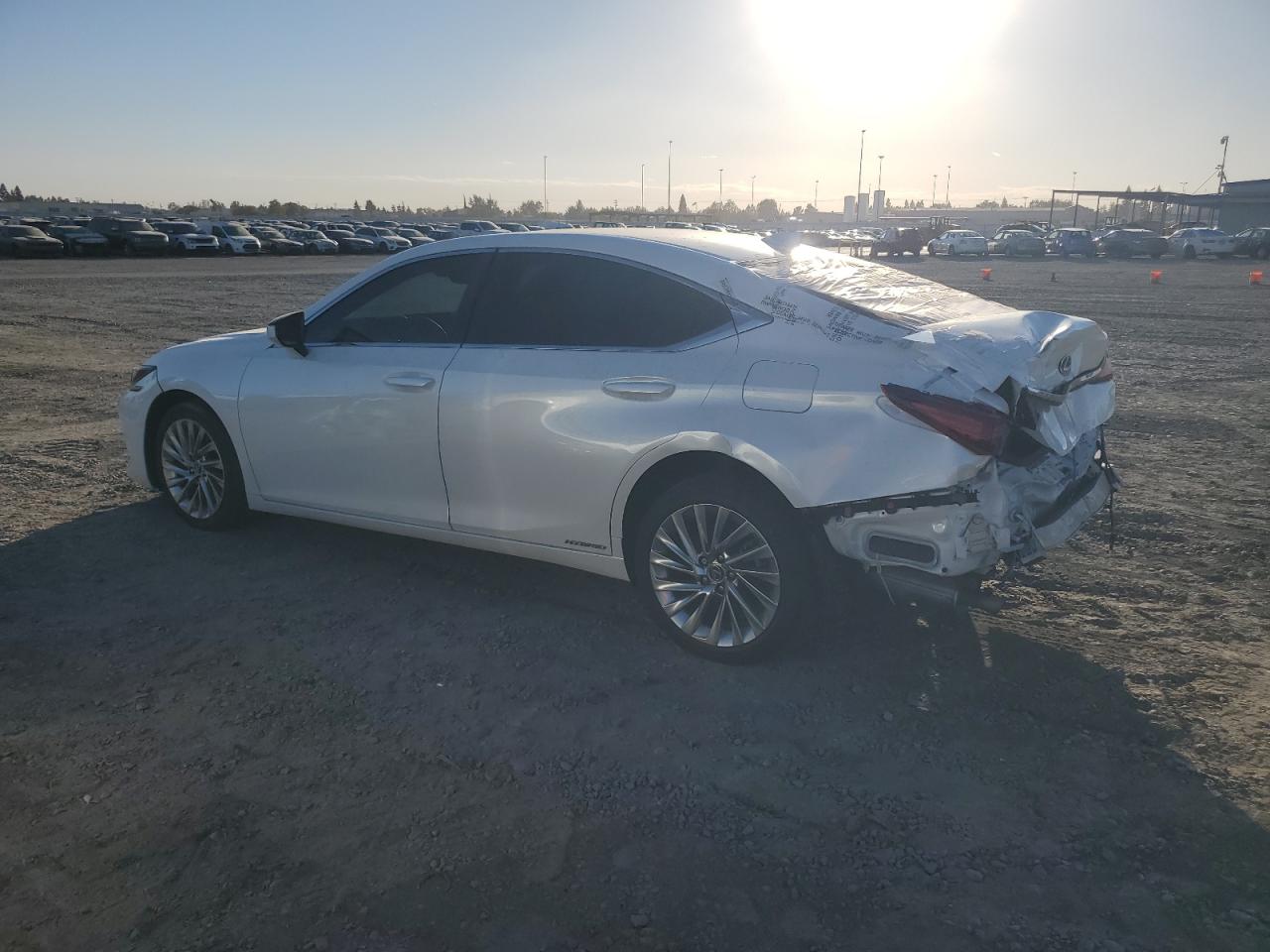 2019 LEXUS ES 300H - JTHB21B13K2024216