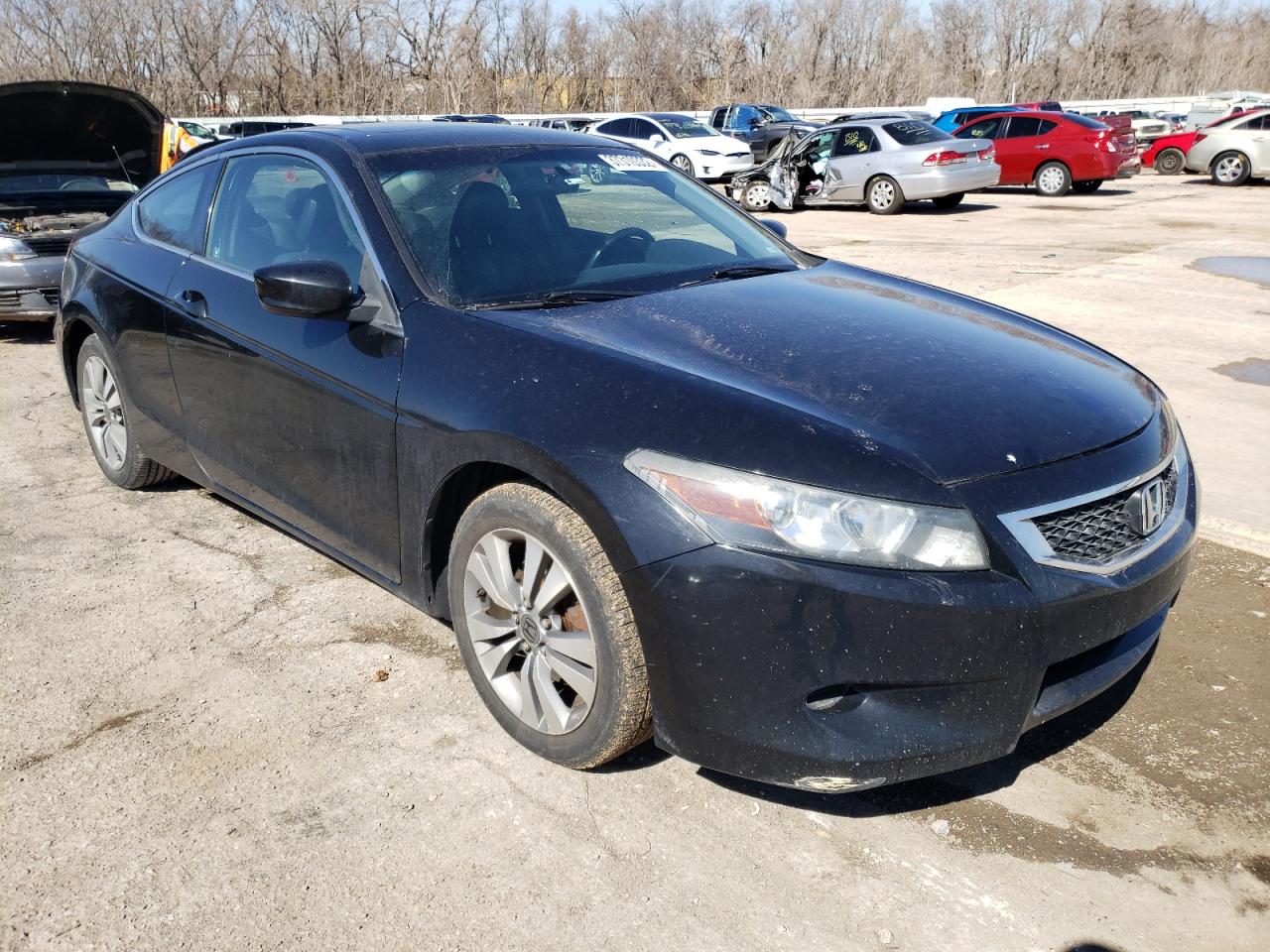 2009 HONDA ACCORD EXL - 1HGCS12819A013235