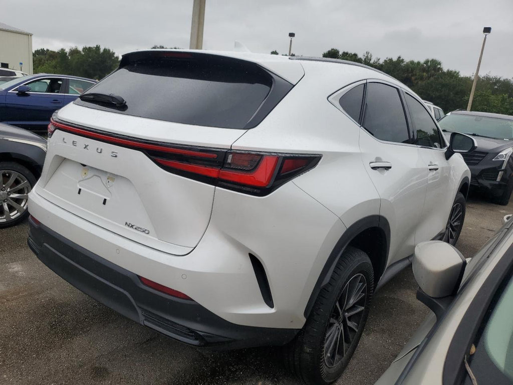 2025 LEXUS NX 250 PRE - JTJGDCAZ1S5023856