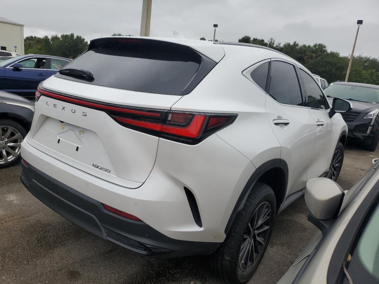 2025 LEXUS NX 250 PRE - JTJGDCAZ1S5023856