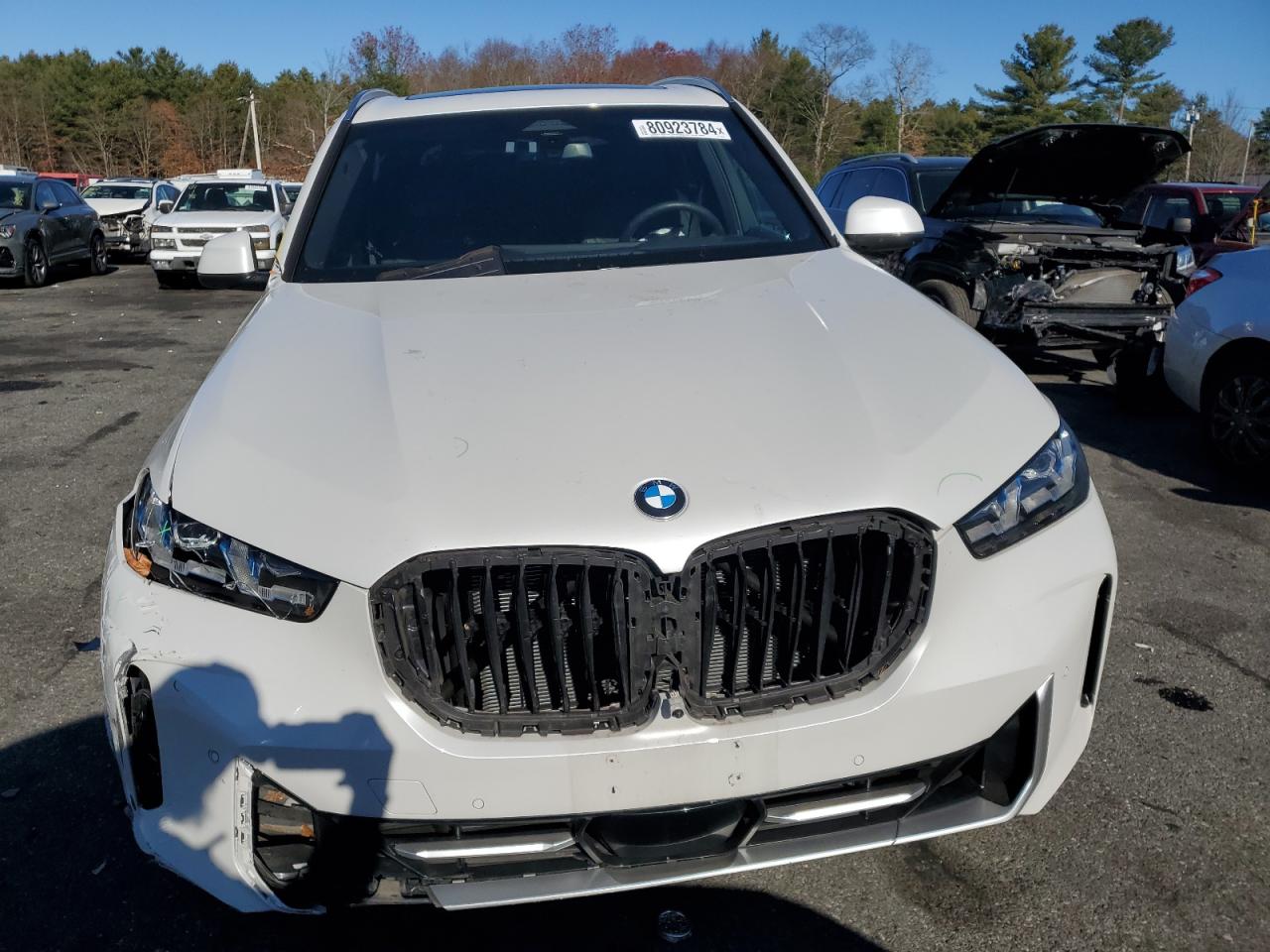 2024 BMW X5 XDRIVE4 - 5UX23EU03R9S89342