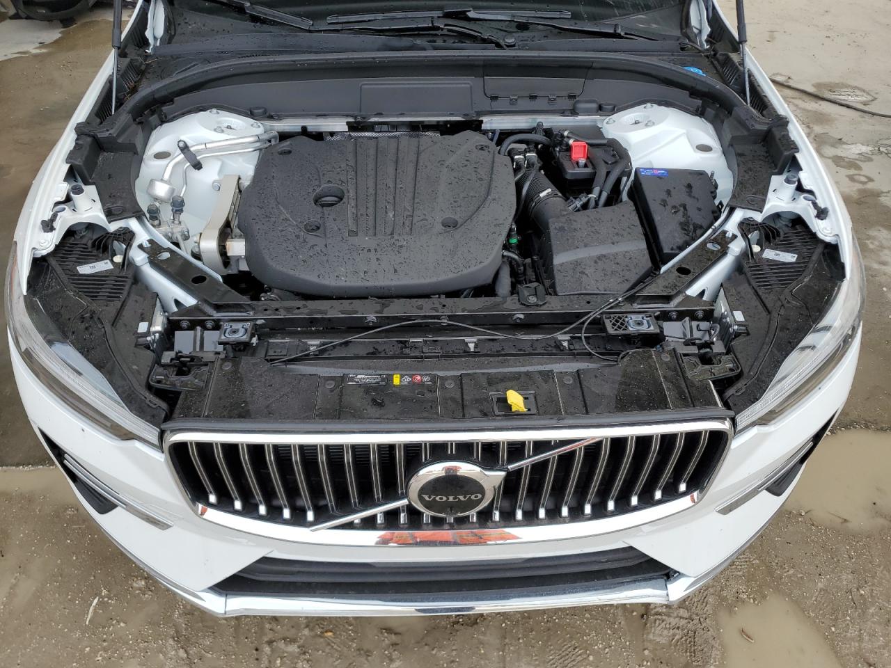 2023 VOLVO XC60 PLUS - YV4L12DE3P1374244