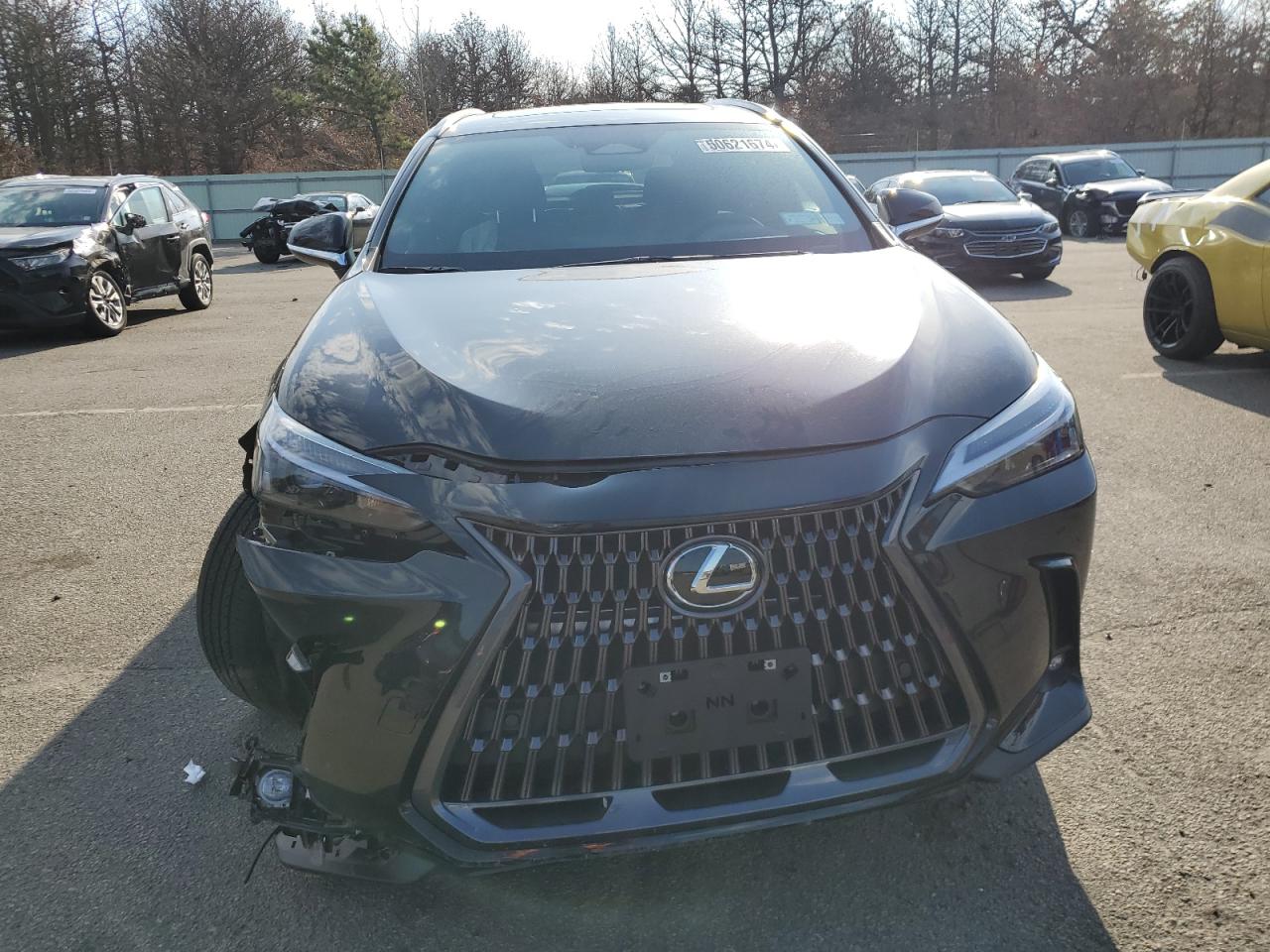 2024 LEXUS NX 350H BA - 2T2GKCEZ9RC027522