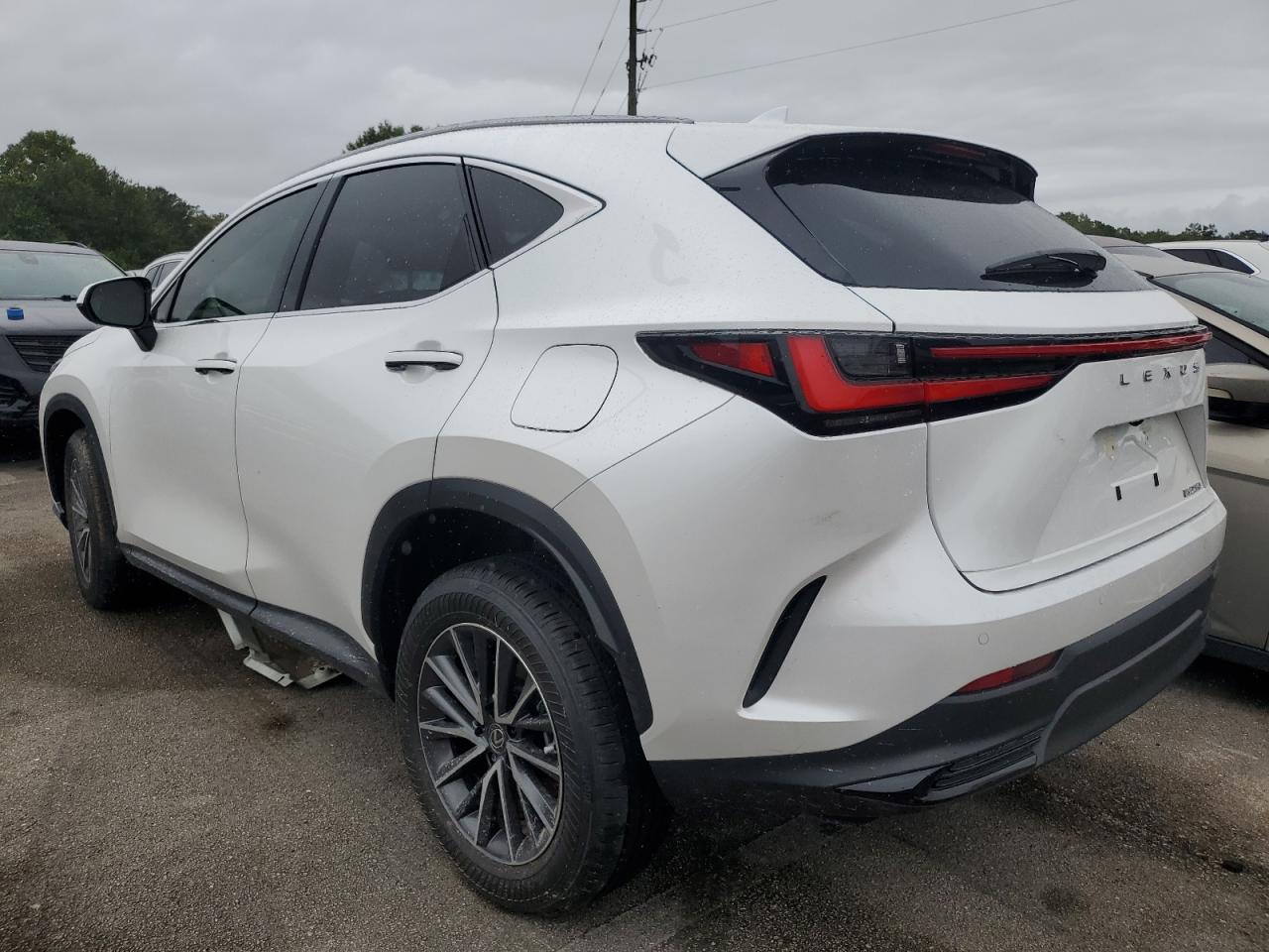 2025 LEXUS NX 250 PRE - JTJGDCAZ1S5023856