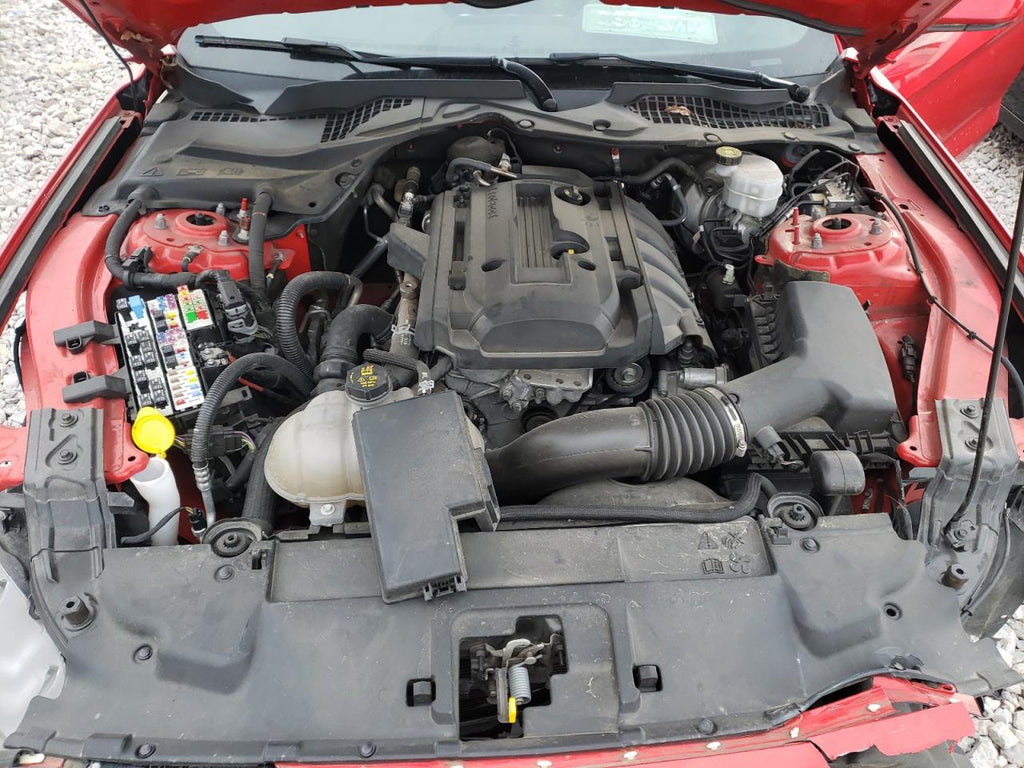 2019 FORD MUSTANG - 1FA6P8TH3K5114981