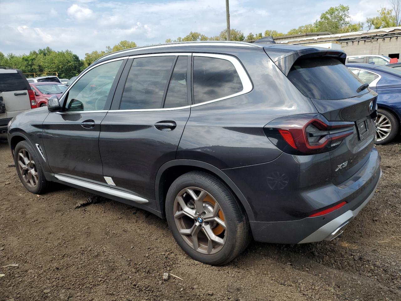 2023 BMW X3 XDRIVE3 - 5UX53DP08P9R13541
