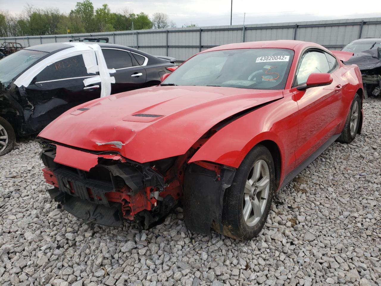 2019 FORD MUSTANG - 1FA6P8TH3K5114981
