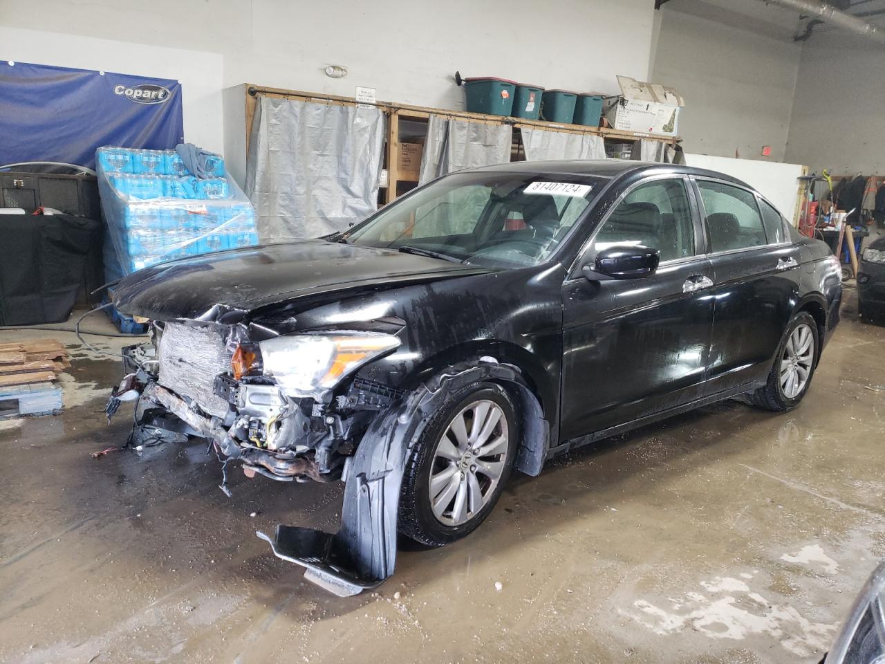 2011 HONDA ACCORD EXL - 1HGCP3F89BA011195