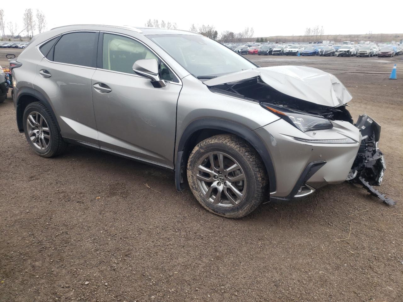 2021 LEXUS NX 300 BAS - JTJHARDZ6M2242666