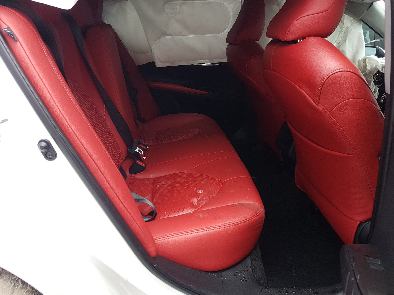 2021 TOYOTA CAMRY SE - 4T1G11AK2MU546584